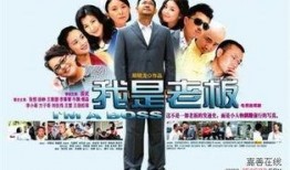 我是老板电视剧全集在线观看,揭秘职场风云，再现商界传奇